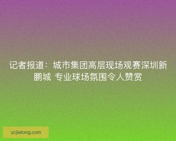 记者报道：城市集团高层现场观赛深圳新鹏城 专业球场氛围令人赞赏